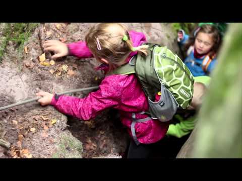 video k Boll ROO 12 snails
